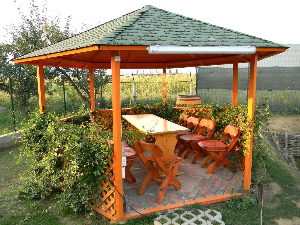 Hotel Casa Cu Pauni à Maracineni Extérieur photo