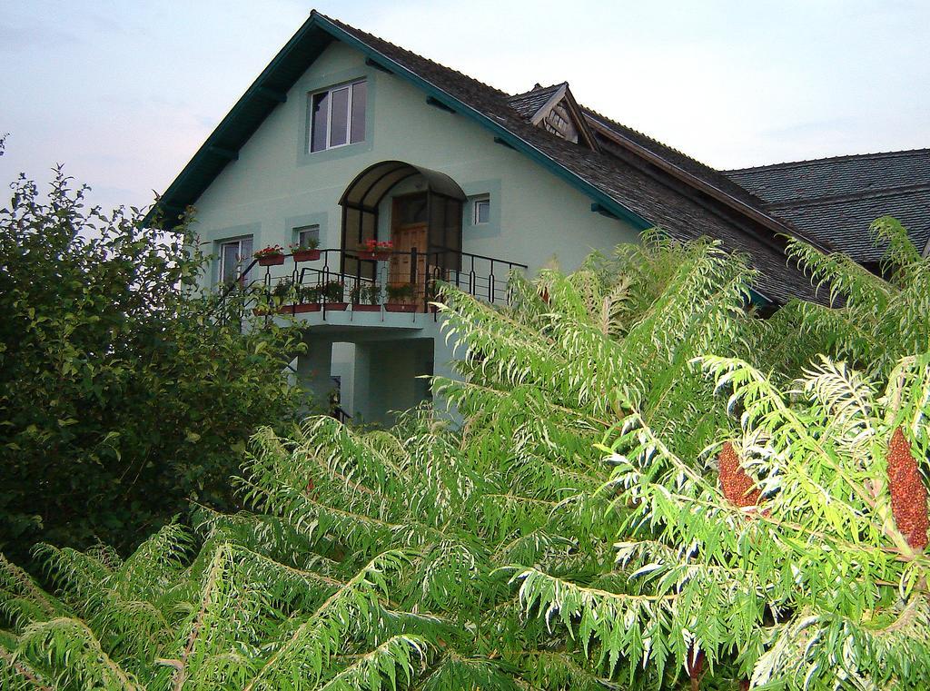 Hotel Casa Cu Pauni à Maracineni Extérieur photo