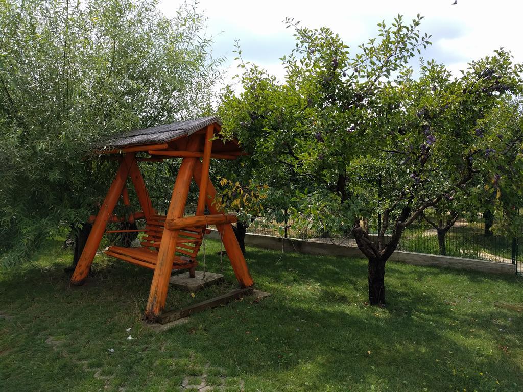Hotel Casa Cu Pauni à Maracineni Extérieur photo