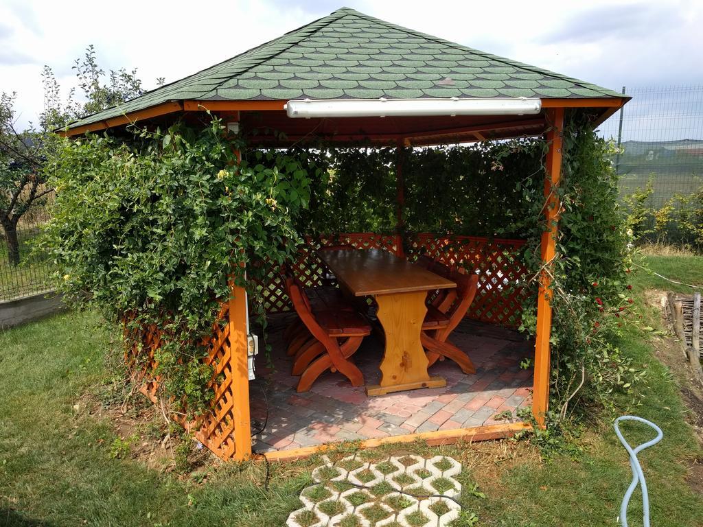 Hotel Casa Cu Pauni à Maracineni Extérieur photo
