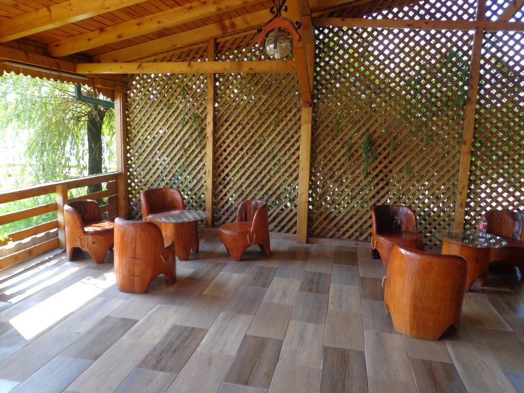 Hotel Casa Cu Pauni à Maracineni Extérieur photo