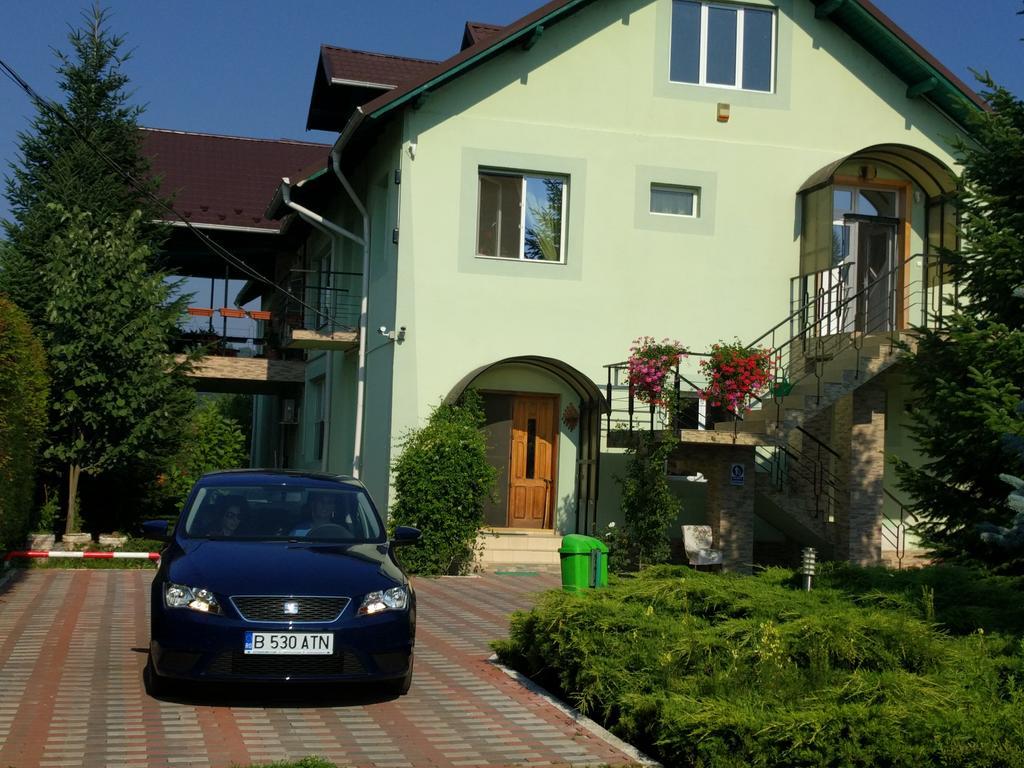 Hotel Casa Cu Pauni à Maracineni Extérieur photo