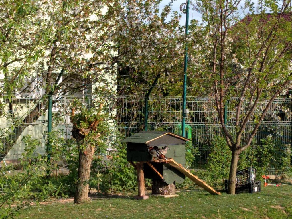 Hotel Casa Cu Pauni à Maracineni Extérieur photo